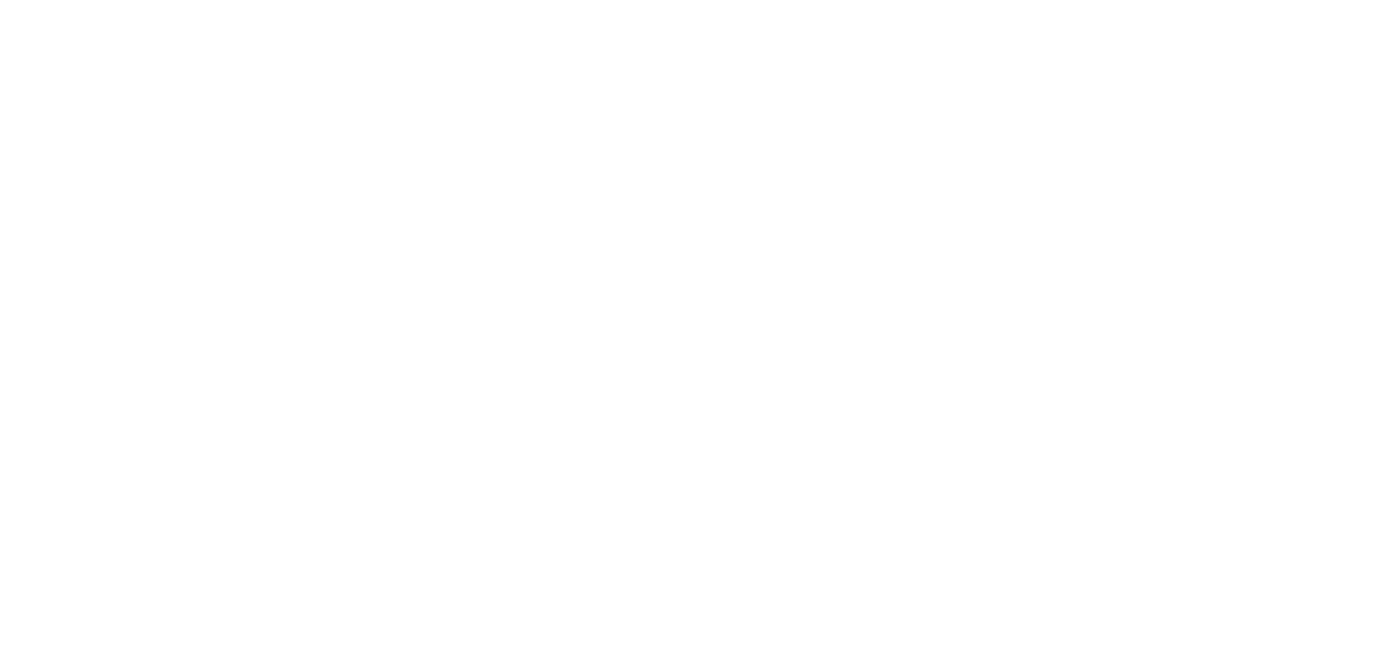 inca-vit-2